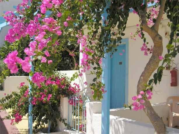 Castelia Bay Hotel Amoopi Eksteriør billede